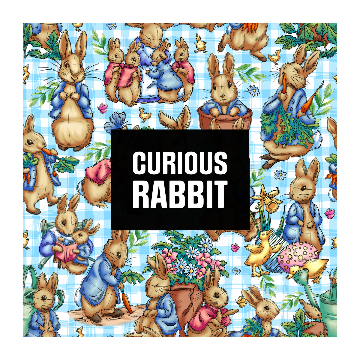 Curious Rabbit - MST Collection