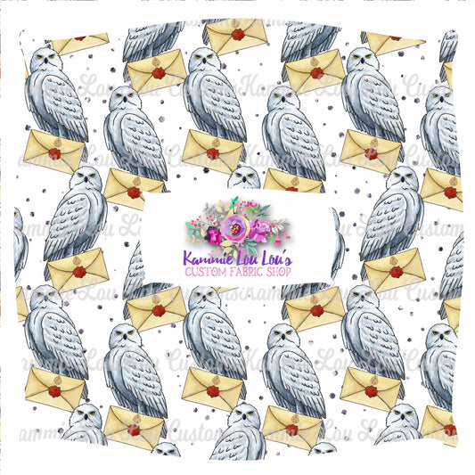 R43 Wizard School - Owl