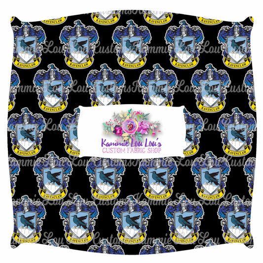 R43 Wizard School - blue House