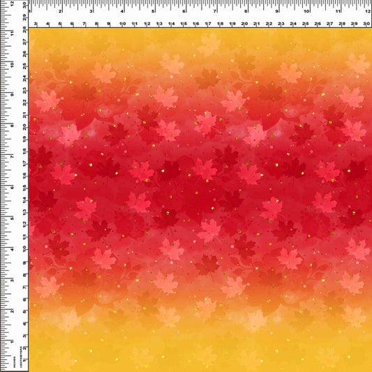 R117 Falling into Fall - Ombre